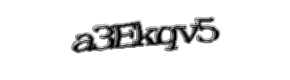 Security check image, please type the characters shown